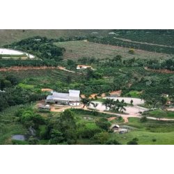 Matas de Minas region v oblasti Minas Gerais je lokalitou kávové farmy Pedra Redonda