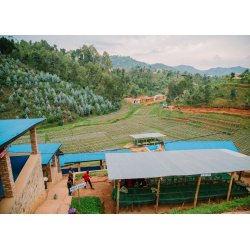 Rwanda - Karambi Druh : Arabica