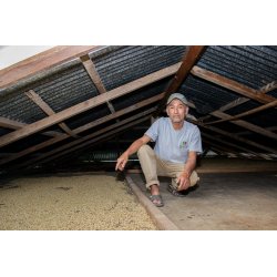 Peru - Patricio Rubio Produkce : Single farm