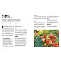 The World Atlas of Coffee 2nd Edition - James Hoffmann - Knihy o kávě: 
